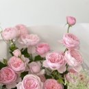 신라병원 이미지