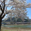 단양별빛한옥민박 이미지