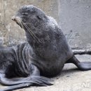 북방