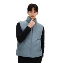 비쉬