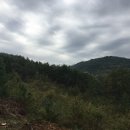 곡성-221 이미지