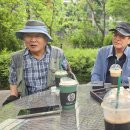 상영초등학교 Daum카페