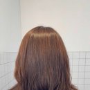 리블룸헤어