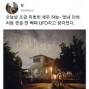 제주도에서만 볼 수 있는 풍경 이미지