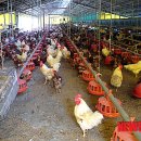 이병찬농장 이미지