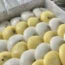 경기도 수원시 권선구 세지로 102 (권선동) 이미지