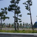 낙산콘도텔 이미지