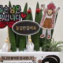 엘바피부샵 이미지