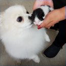 베베네 개스트하우스 이미지