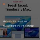 맥사 | 나만 느끼는 걸까? 잦아진 오류, macOS 안정성에 대한 오랜 유저의 의문