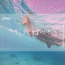 보홀 3박 4일 여행(3)/발리카삭 호핑 투어/헤난 리조트 알로나 비치/레드 크랩/코랄 카페/팡라오 공항