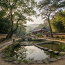 진도읍성 | 전남 진도 운림산방: 조선 시대 화가 허련의 예술혼이 깃든 아름다운 산채