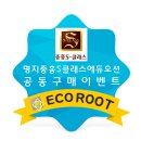에듀루트 이미지