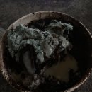 시험기간 미쳐버린 K-고딩