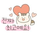 포튜나에스플라워 이미지