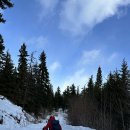 2/1 Hex Mountain 산행 이미지