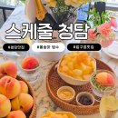 샴페인 | 청담 빙수 맛집 추천! 스케줄 청담 복숭아 빙수와 샴페인 페어링 후기