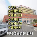 (버스)평택성모병원.장미타운 | 평택성모병원 전화번호 주소 진료시간 층별안내 주차장 홈페이지 채용 안내