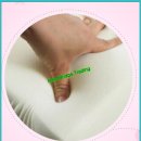 애견하우스 이미지