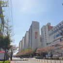 하단동1201 이미지