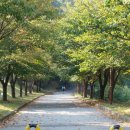 [호서대학교] 풍경&자연과 함께하는 기숙사 이미지