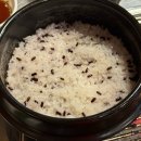 원조꼬리치는돼지 이미지