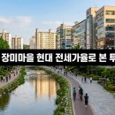 삼호현대종합정비 | 야탑동 '장미마을현대' 매매 대비 전세가율로 본 투자 가치