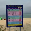 지경리 | 강아지와 함께 애견비치, 지경리해수욕장 다녀온 후기
