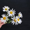 일산 정발산 꽃집 봄그린, 자연스러운 들꽃 느낌 부케 후기