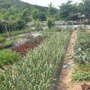 나들농장 이미지