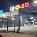 양지셀프 이미지