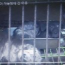 용재농장 이미지