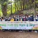 옐로우시티 이미지