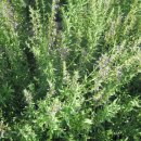 홀리허브 이미지