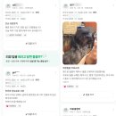 구로4동주민센터 | [유명] LGU+ 매장별 후기모음 ZIP