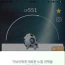 가보리 이미지