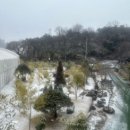 쌍청고기마을 이미지