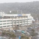 파발로 이미지