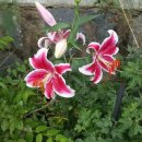 여방경로당 이미지