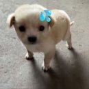 WR(서울특별시 강서구)-[마곡중앙8로]-하-4 | 평생소원이 누룽지