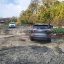 금복국밥집 이미지