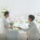 유미세탁 - 관악구 신림로30길 10 | 유미의 세포들3 결혼 결말 순록 엔딩이 달콤하면서 가볍지 않았던 이유