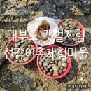 대부도 선감어촌체험마을 갯벌체험 가격 및 후기