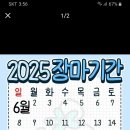 2025 장마기간. 이미지