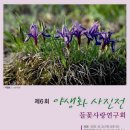 들꽃사랑 이미지