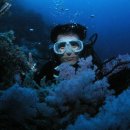 나자바바라 이미지