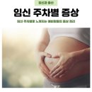 기막힌 동거 | 나는 지금 몇 주차일까? 임산부 주차별 증상 총정리!