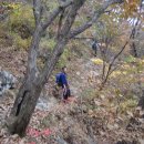 월악산정 이미지