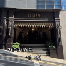 67 | [숙박시설] 레스케이프 코너 주니어 스위트 후기 / 라 메종 부티크 / 명동 호강스 추천 pt.1