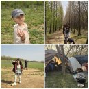 예산꽃 | 예산 아그로랜드 캠핑장 후기 ｜ 벚꽃·동물체험 볼거리 가족캠핑 (#38)